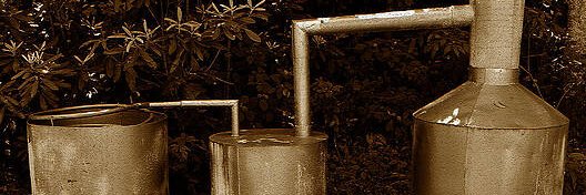 Buc𐤊 Towstrap banner