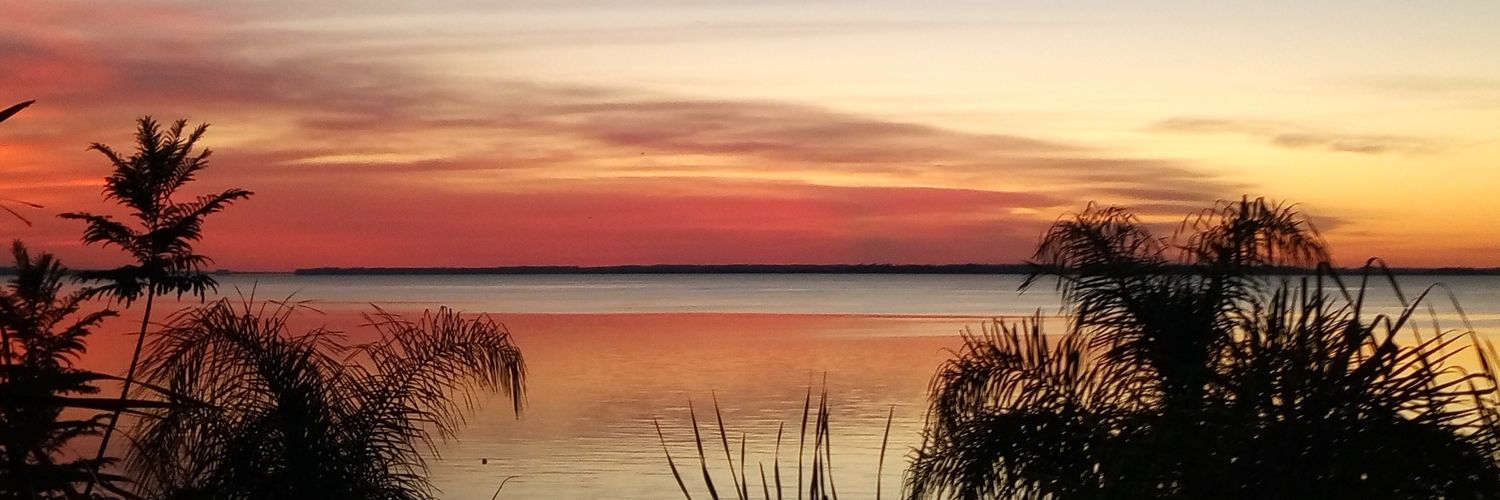 Ceci_Pintos's profile banner image