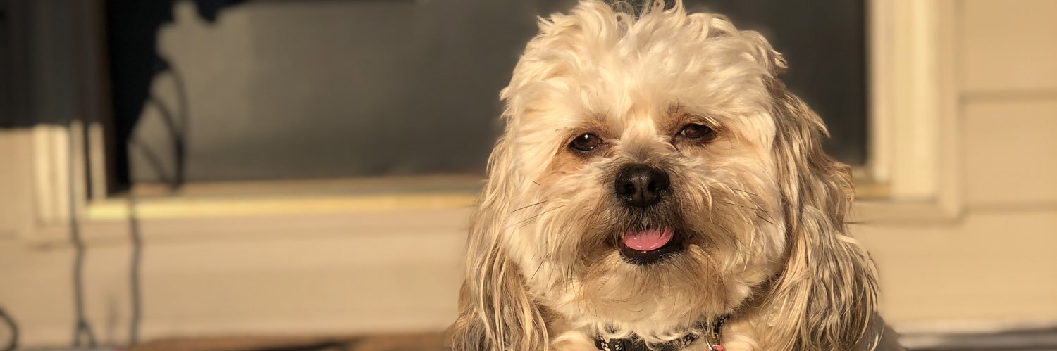 morgherr's profile banner image