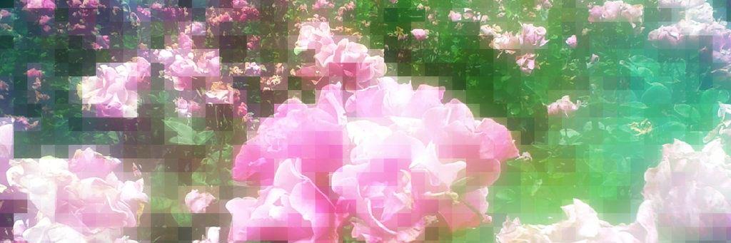 leeladoe's profile banner image