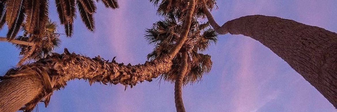 Jerome_Cooper's profile banner image