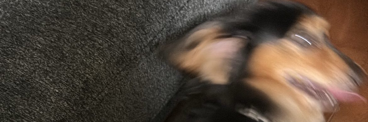 nheeet0's profile banner image