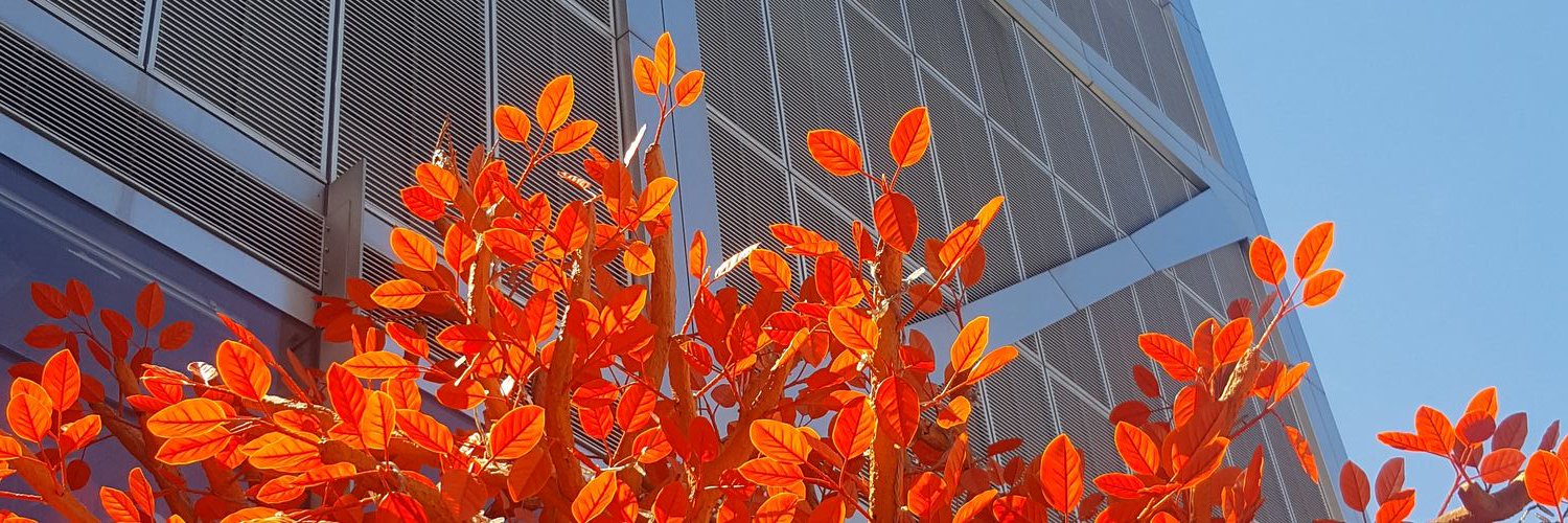 charbuka's profile banner image