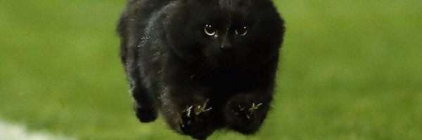AnaBerno Profile Banner