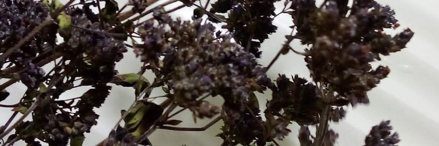 MarinJordan1986's profile banner image