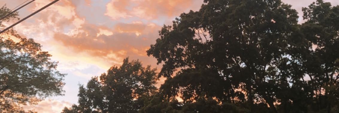 cspice10's profile banner image