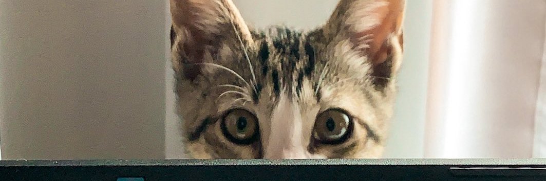 rafmgomes's profile banner image