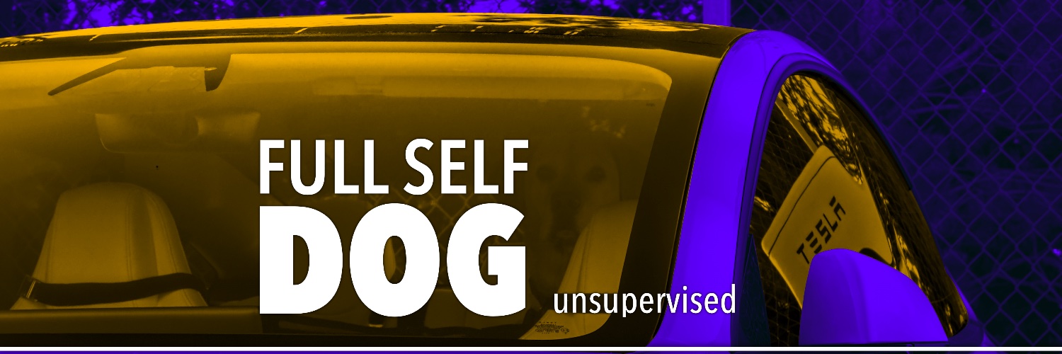 Full Self-Dog (unsupervised) banner