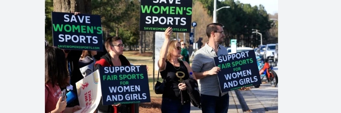 Frank MacDonald banner