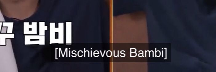 bambievier's profile banner image