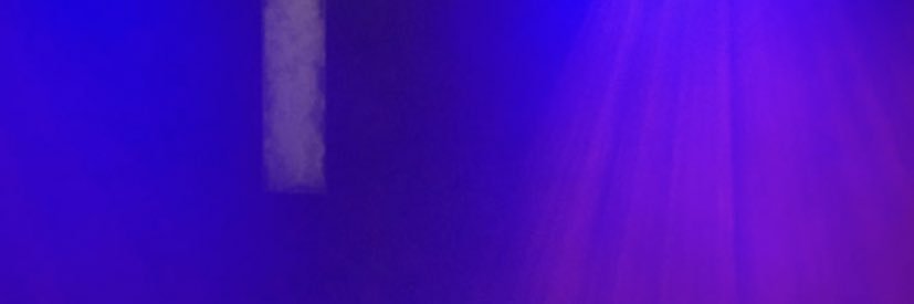 ｸﾏｺ banner
