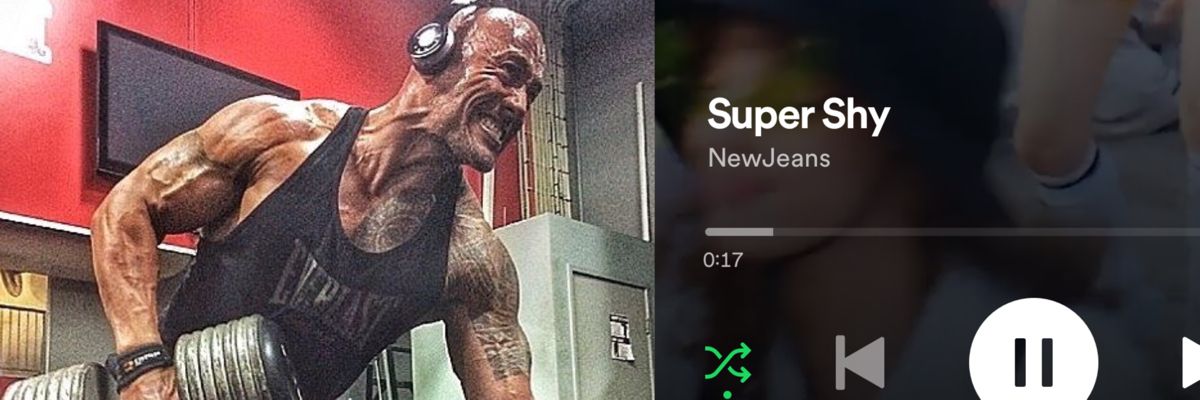 jefesurto's profile banner image