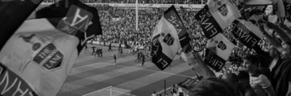 LilywhiteViews's profile banner image