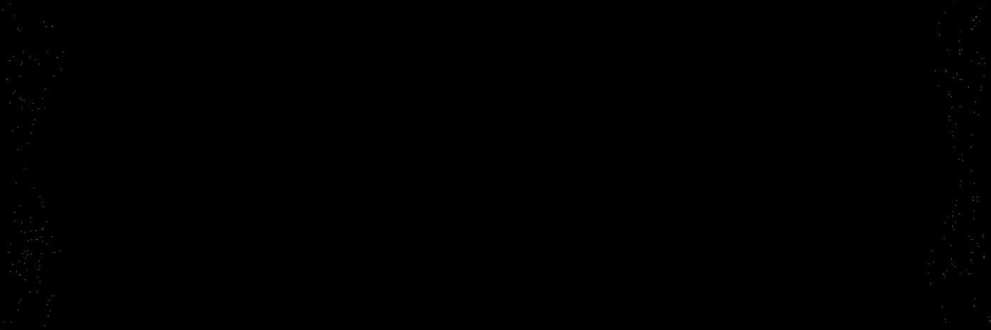 Sane banner