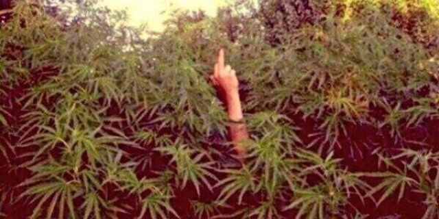 A_waters24's profile banner image