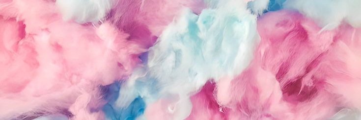 Case Walker Charts And Updates💕(Rexx) banner