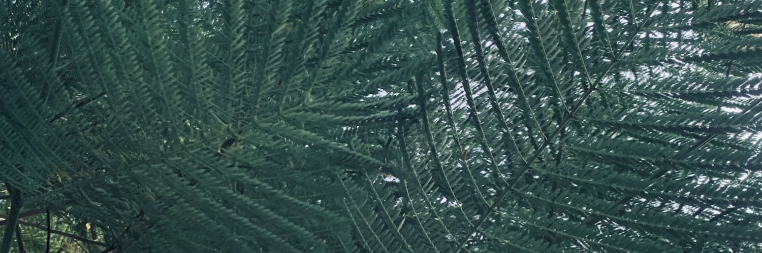 _BrianKve's profile banner image