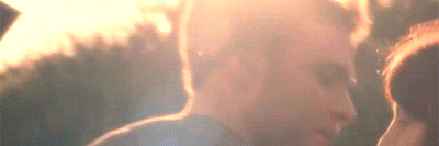 FITZ banner