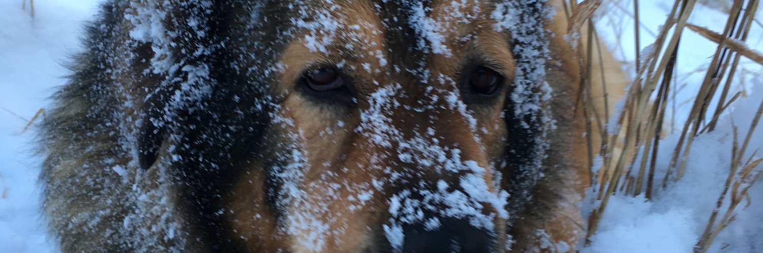 RedlipsJill's profile banner image