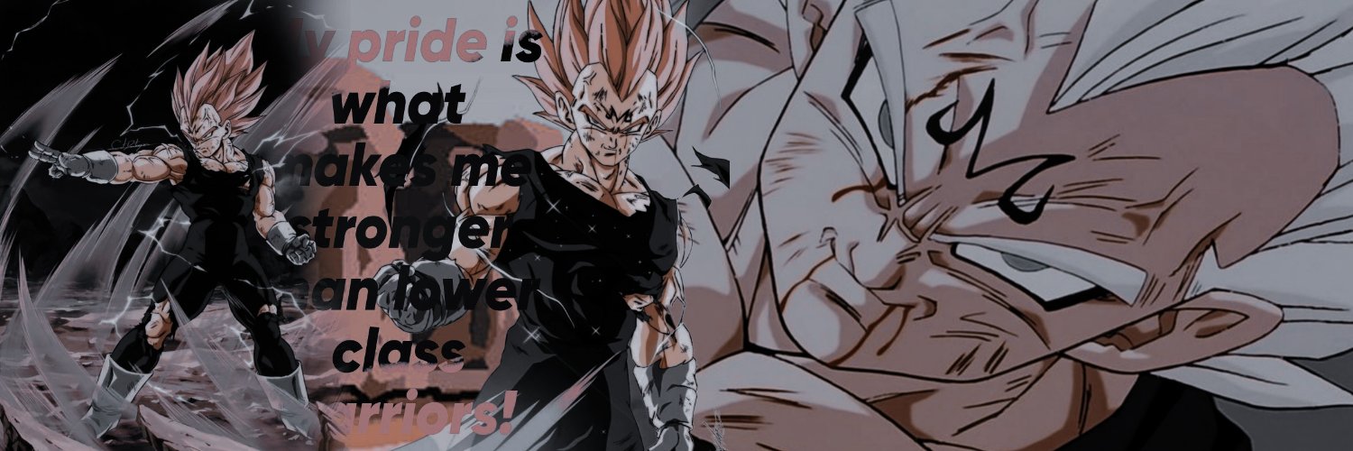 lVegetaZ's profile banner image