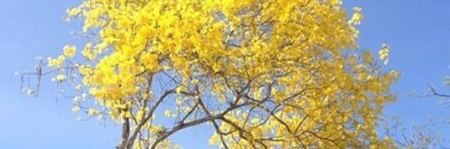 JudithJaimes1's profile banner image
