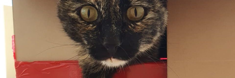 AcevAlan32's profile banner image