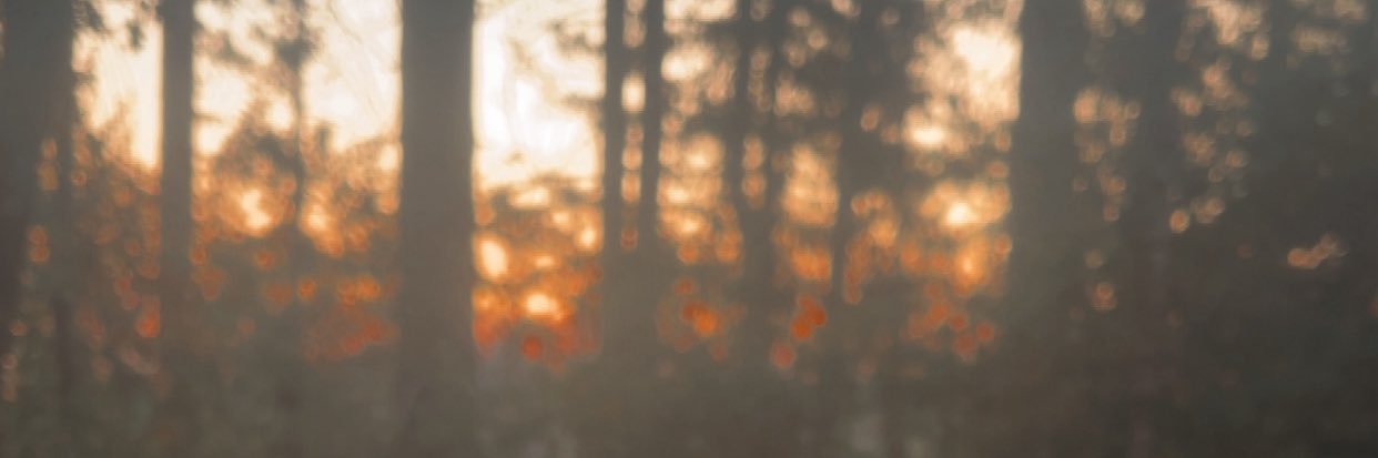 Misfitpitmomma's profile banner image