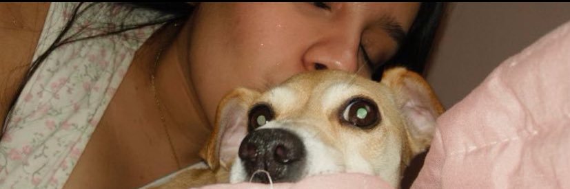 moreofgracia's profile banner image