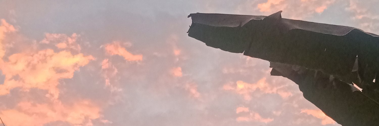 acepbonar11's profile banner image