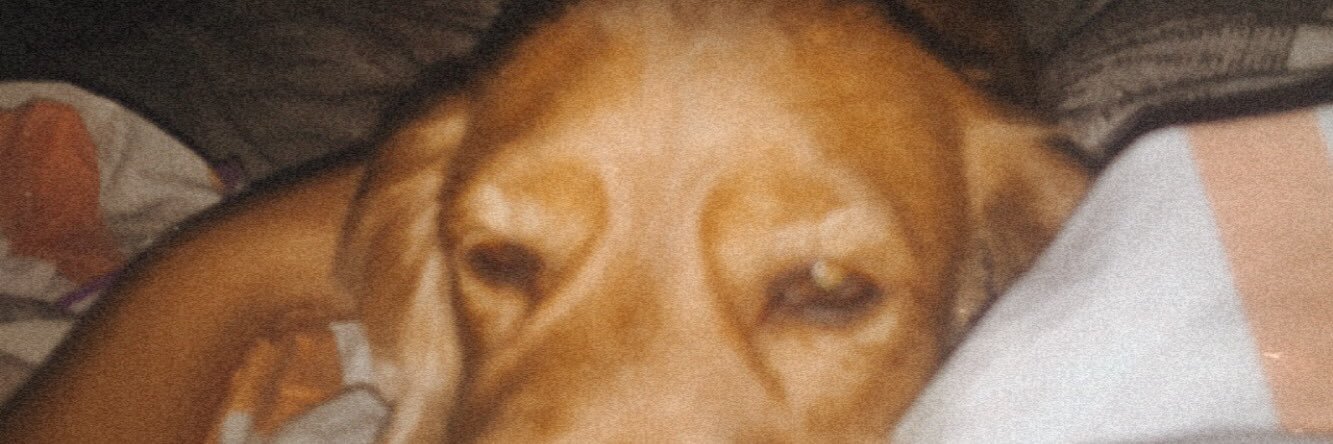 SoNacusi's profile banner image