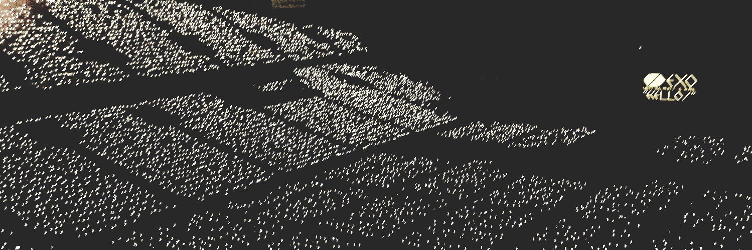 BODYKRIS's profile banner image