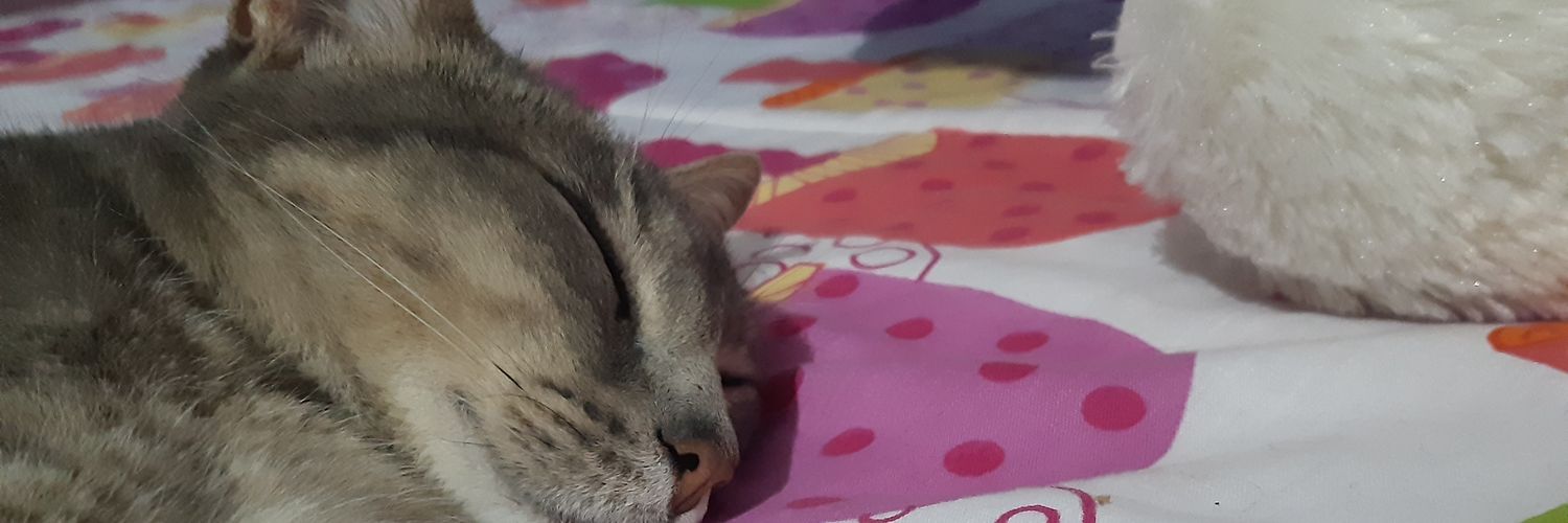 __BalenG's profile banner image