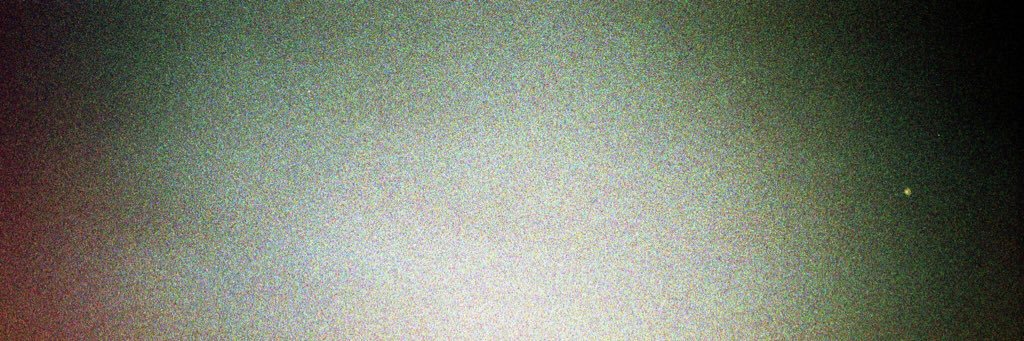 rosesness's profile banner image