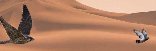 يوسف العبودي ابوياسر banner