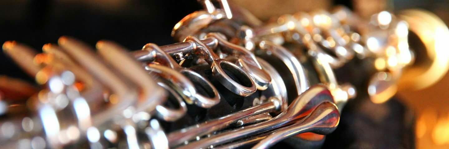 Natàlia Arroyo Mundó banner