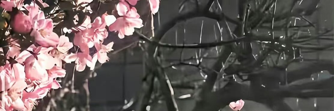 yuyinging111's profile banner image
