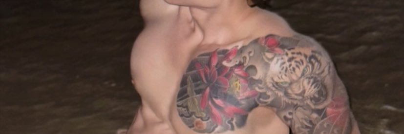 Boss_find_slvscat banner