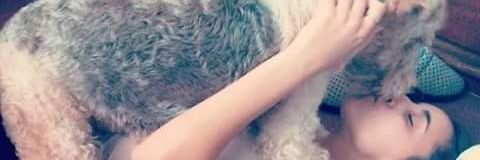 FlorMaduri's profile banner image