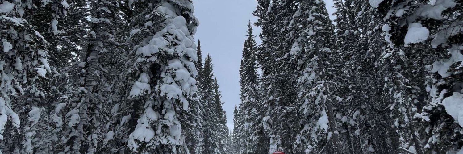 TylerReiter's profile banner image