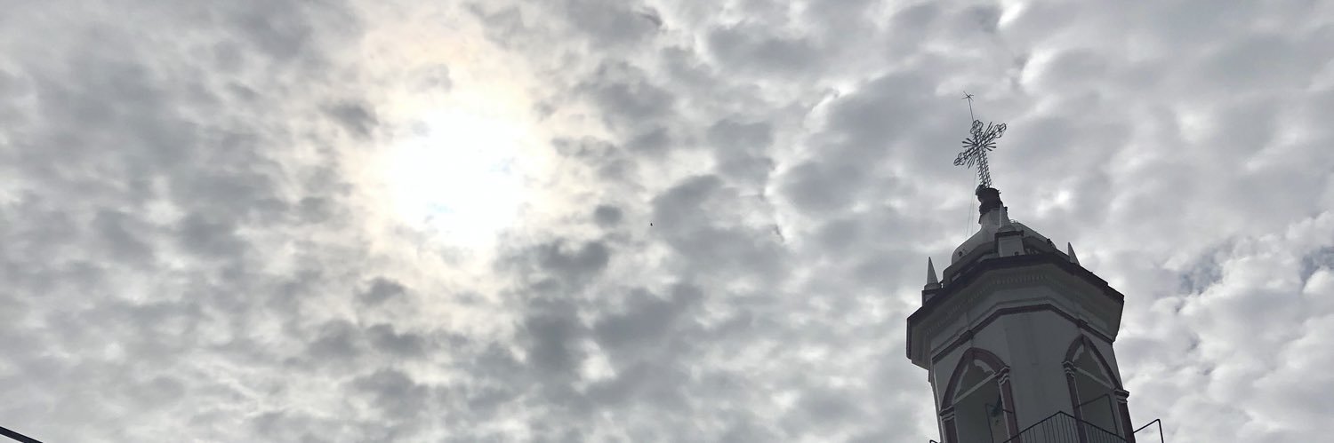 Miguel Alfaro banner