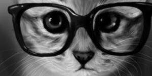 luurgonzalez's profile banner image
