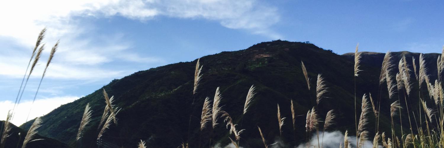 YamilaAlcedo's profile banner image