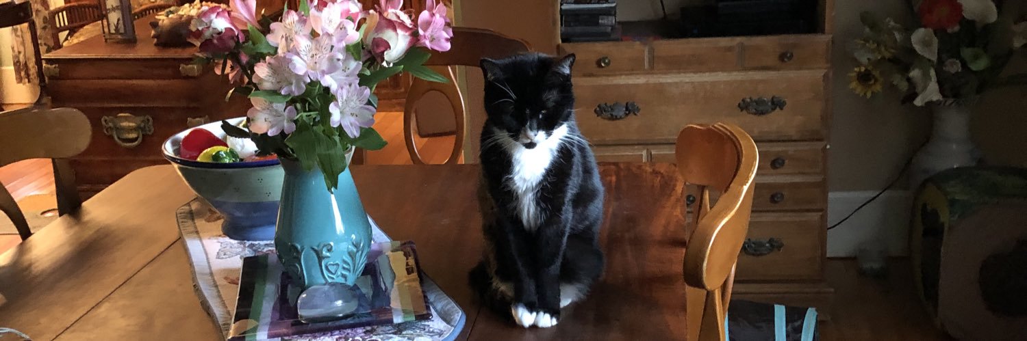 Rita Laxton, PhD banner