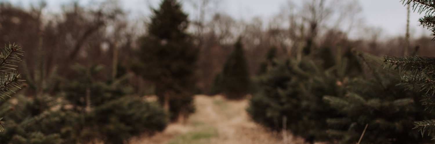 loganwallace_'s profile banner image