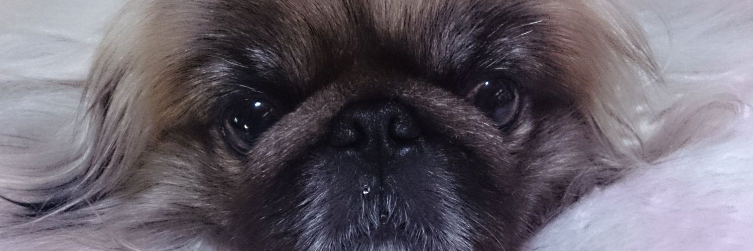 tabidachichihar's profile banner image