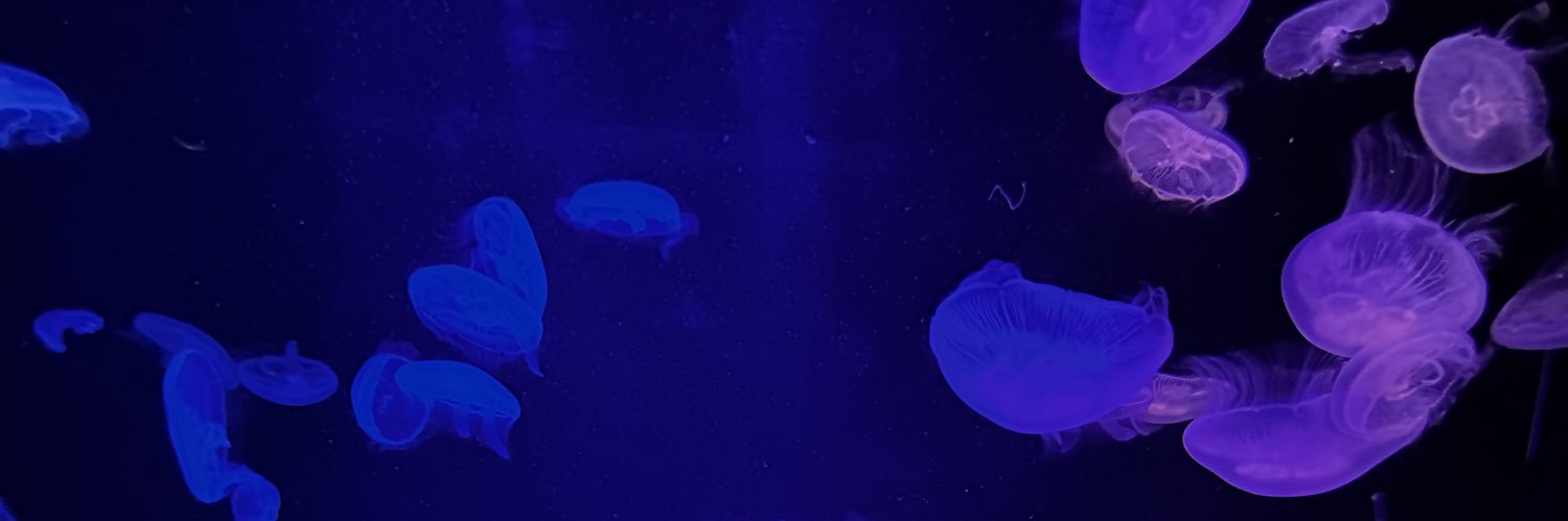 miomio_study's profile banner image