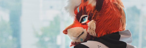 TigerHavoc Profile Banner