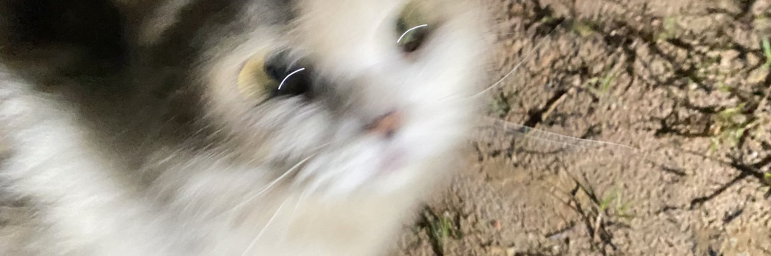 crfflatte's profile banner image