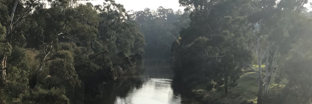 concepts of a plan Gruer banner