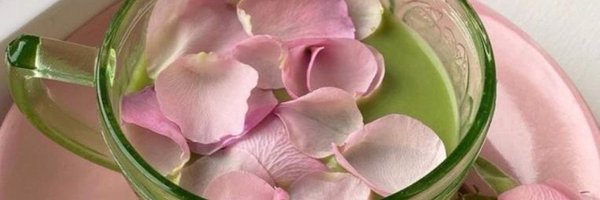 BellaPruffsBoss Profile Banner